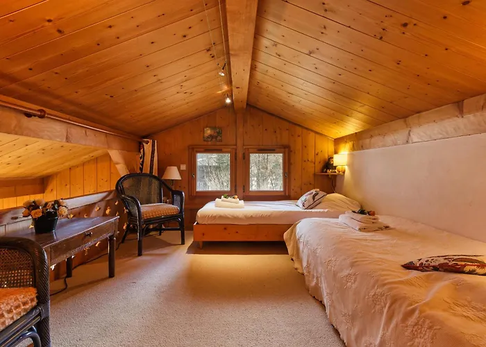 Du Brevent In - Out - Happy * 霞慕尼